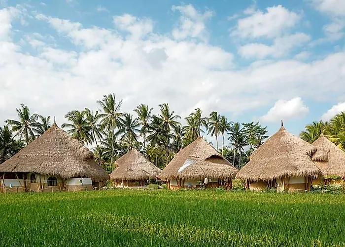 Mana Earthly Paradise
